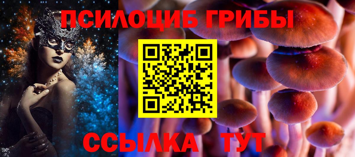 Псилоцибиновые грибы Cubensis  Вход с VPN  Галлюциногенные грибы мицелий  купить  цена  Жигулёвск 